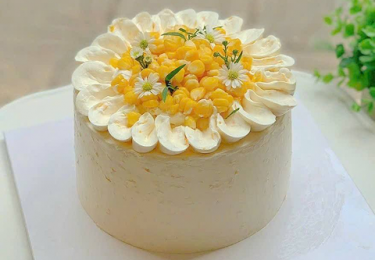 Ohayo – Quán Bánh Mì “Chuẩn Ngon – Chuẩn Sạch”